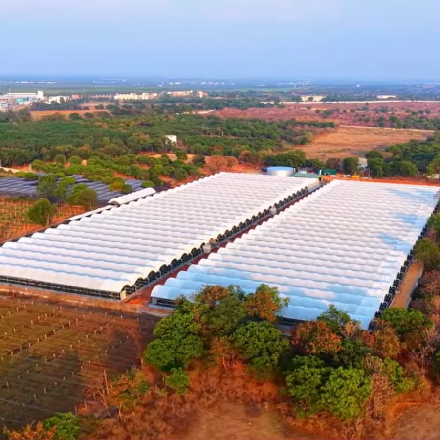 Dhanuka Farms estate