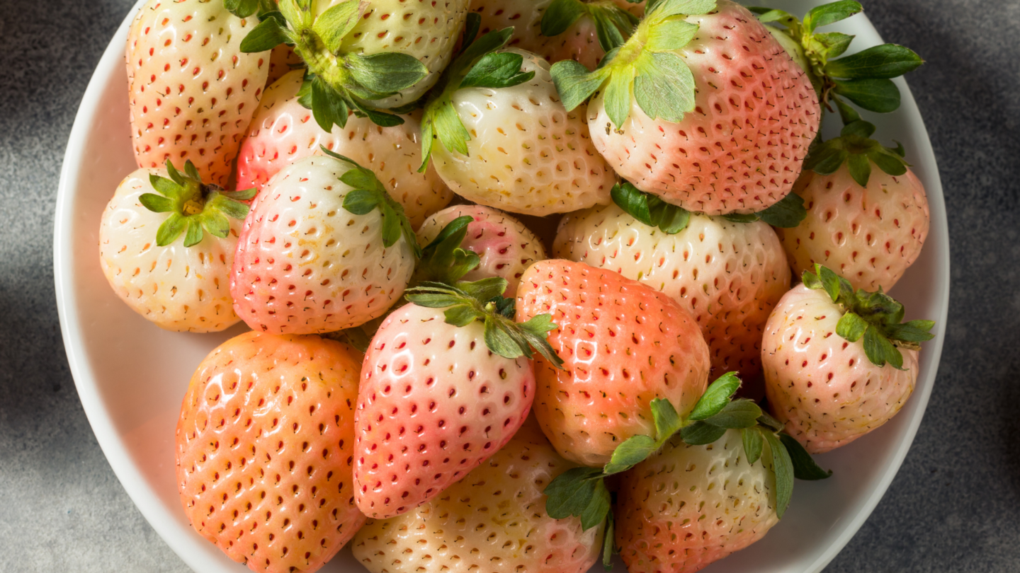 Pineberry